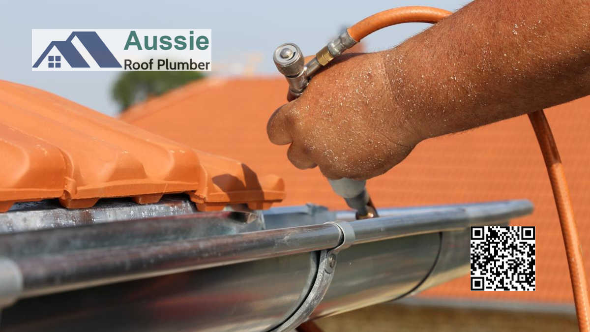 Gutter Cleaning Adelaide