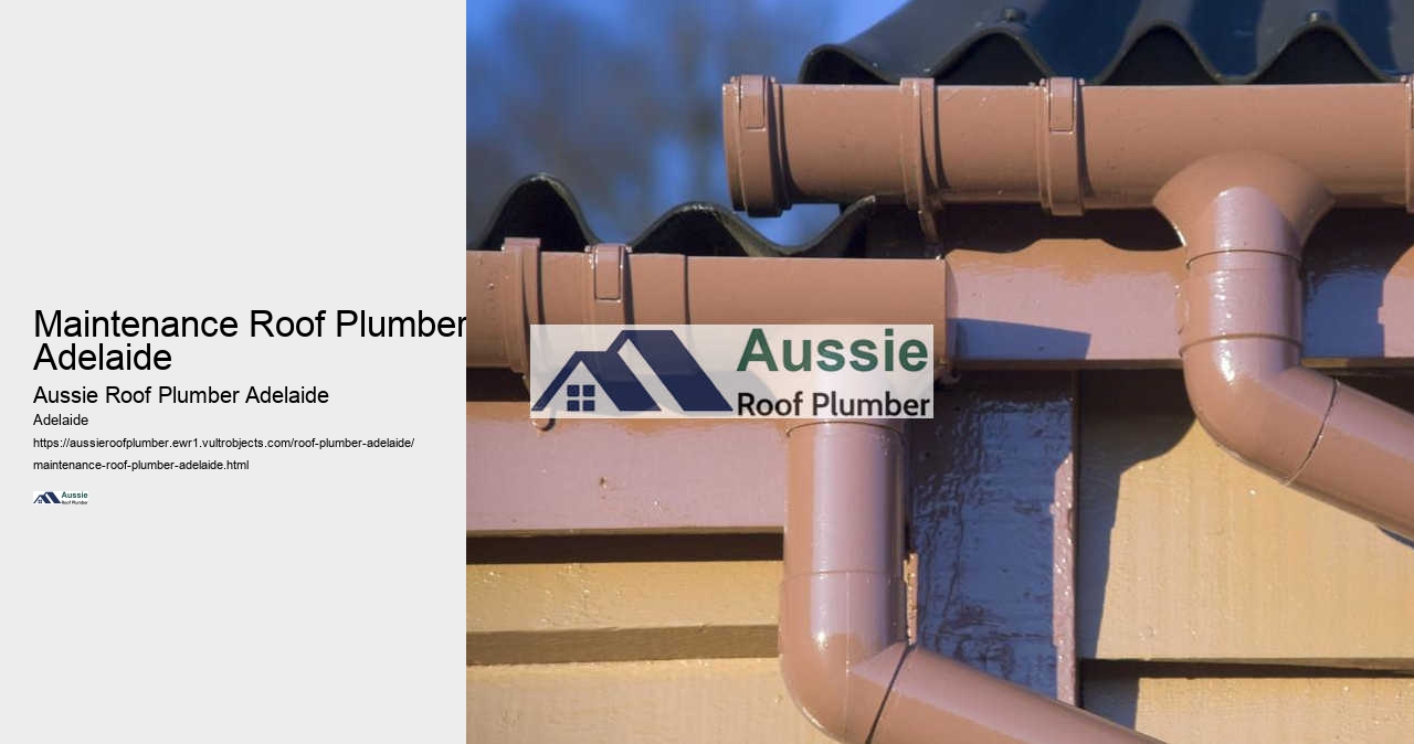 Maintenance Roof Plumber Adelaide