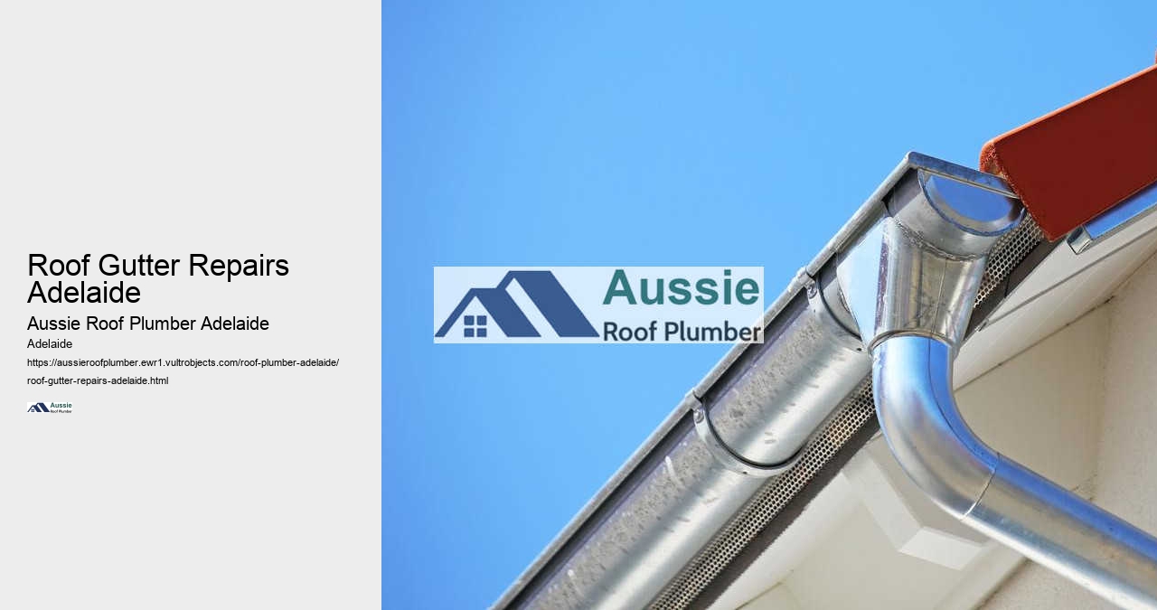Roof Gutter Repairs Adelaide