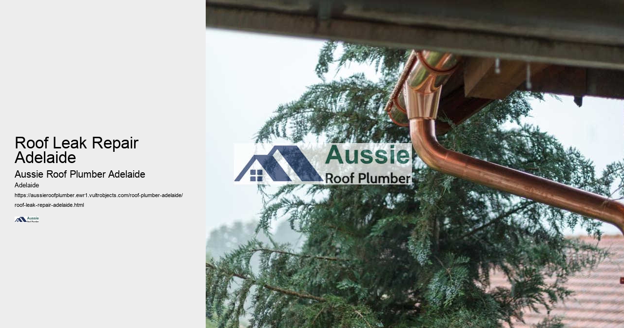 Roof Leak Repair Adelaide